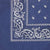 DREAM BANDANA - FOLDED REGULAR
