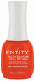 ENTITY GEL- #772 HIP HUGGER HAUTIE