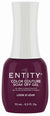 ENTITY GEL- #834 LOOK D'JOUR