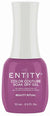 ENTITY GEL- #861 BEAUTY RITUAL
